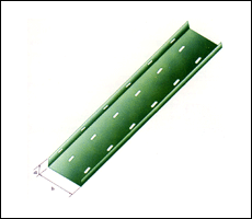 ż